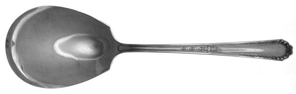 MRI1 (SILVERPTE) Preserve Spoon