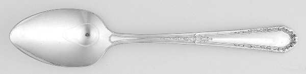 MRI1 (SILVERPTE) Teaspoon