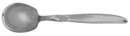 Grape (Stainless) Sugar Spoon