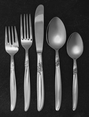 Grape (Stainless) 5 Piece Place Setting