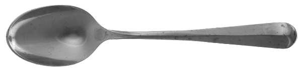 MSR1 (Stainless) Teaspoon