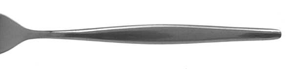 Astron (Stainless) by Nasco