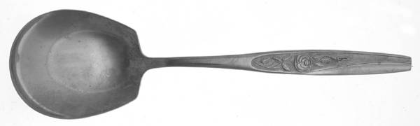 Embrace (Stainless) Solid Smooth Casserole Spoon
