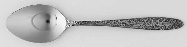 Danielle (Stainless) Teaspoon