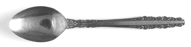 Fashion (Stainless) Teaspoon