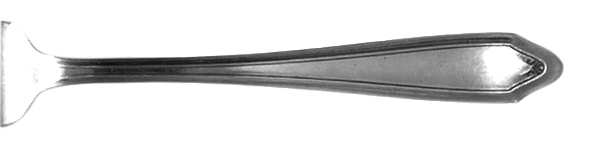 NTS22 (Silverplate) by National Silver Co