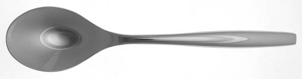 Aidan (Stainless) Solid Serving Spoon
