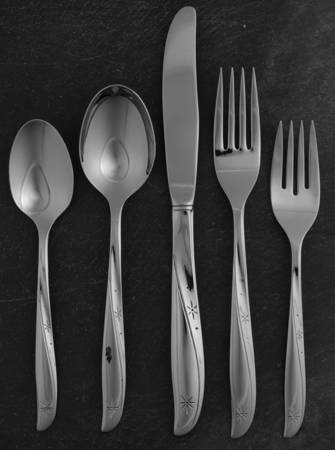 Twin Star (Stainless) 5 Piece Place Setting