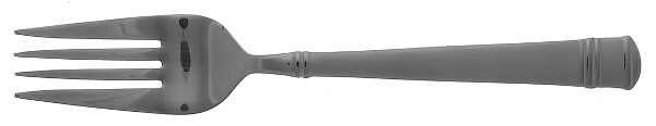 Tiramisu (Stainless) Individual Salad Fork by Oneida Silver