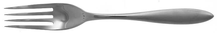 Moderne (Stainless) Fork
