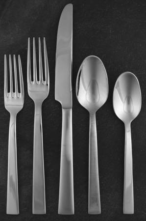 Aero (Stainless) 5 Piece Place Setting