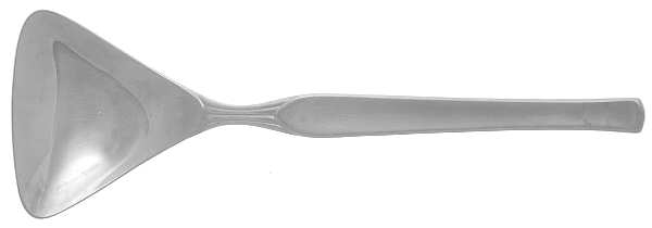PFR2 (STAINLESS) Solid Salad Serving Spoon