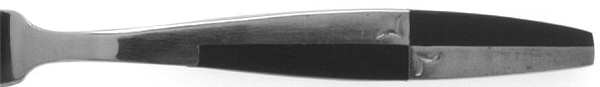Monte Carlo (Stainless) by Present