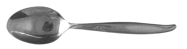 Seneca (Stainless) Teaspoon by Present