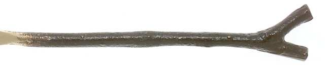 Branches (Bronze) by Pottery Barn