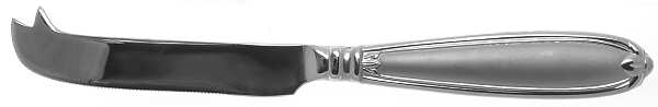 Barrington (Stainless) Solid Cheese Serving Pick by Princess House