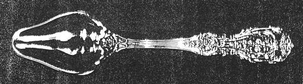 Francis I (Sterling, Eagle-R-Lion, 1907) Fruit/Orange Spoon