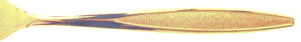 Antigua Gold (Gold Electroplate) by Royalton