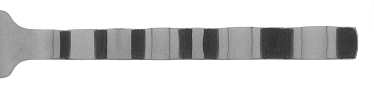 Whitewater (Stainless) by Retroneu