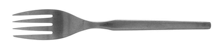 RMX1 (Stainless) Individual Salad Fork