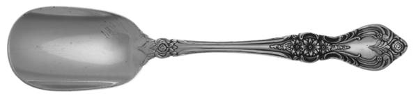 RNT3 (Stainless) Sugar Spoon