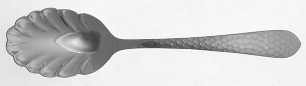 Hammered Antique Matte (Stainless) Sugar Shell Spoon