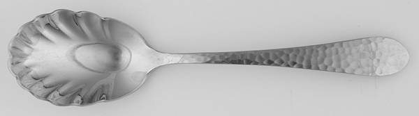 Hammered Antique Matte (Stainless) Sugar Shell Spoon