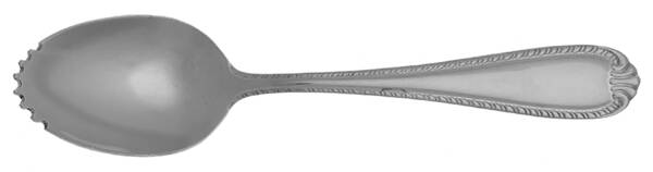 Domain (Stainless) Fruit/Orange Spoon Individual, Serrated Bowl HC