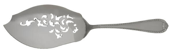 Domain (Stainless) Fish Server Solid Stainless Large HC