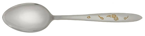American Beauty (Stainless) Place/Oval Soup Spoon by Reo Crest Silver