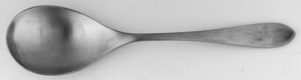 Meridian Satin (Stainless) Solid Serving Spoon