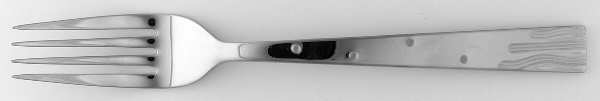 Nightscape (Stainless) Fork