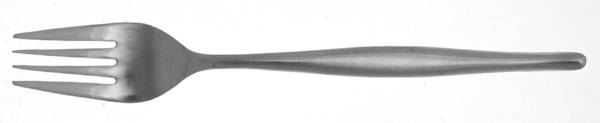 Contour (Stainless) Fork
