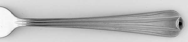 R1V1 (Stainless)