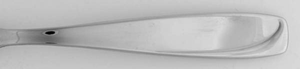 Harmony (Stainless) by Royal Prestige Silvr