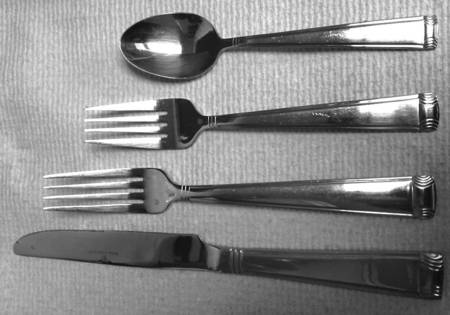 RDF19 (Stainless) by Royal Doulton