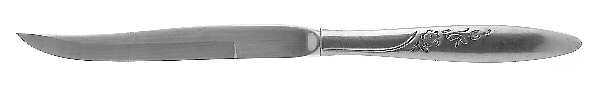 Petite Rose Individual Steak Knife Hollow Handle by Stonegate