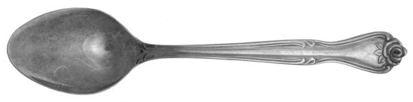 SNF3 (STAINLESS) Teaspoon