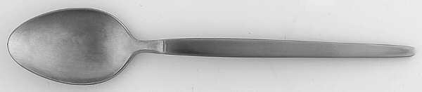 Astro (Stainless) Teaspoon