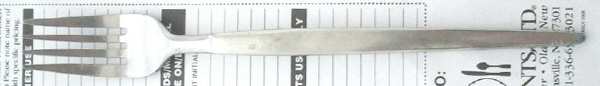 Astro (Stainless) Fork