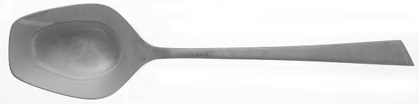 Carif (Stainless, Plain) Solid Smooth Casserole Spoon