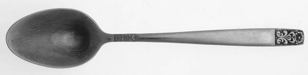 Danesmore (Stainless) Teaspoon