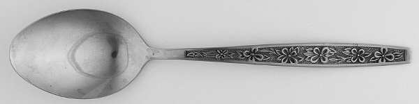La Spana (Stainless) Tablespoon (Serving Spoon)