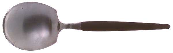 Modern Elegance (Stainless) Solid Smooth Casserole Spoon