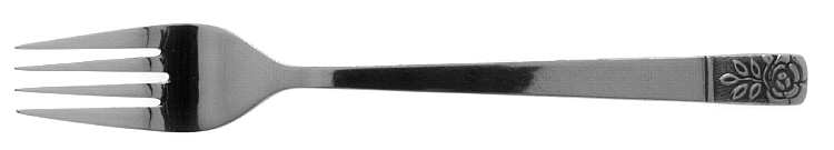 SRE1 (STAINLESS) Fork