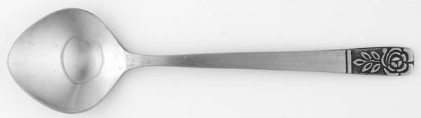 SRE1 (STAINLESS) Sugar Spoon