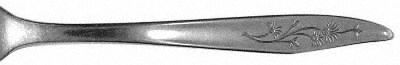 Misty Isle (Stainless) by Sears Roebuck