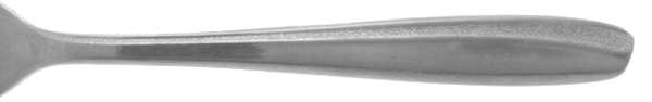 Secret Sea (Stainless) by Sears Roebuck