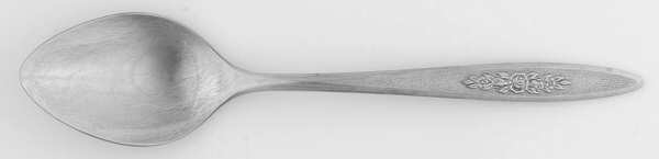 SRS6 (STAINLESS) Teaspoon by Sears Roebuck
