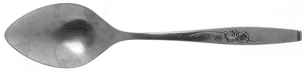 Fancy Free (Stainless) Tablespoon (Serving Spoon)